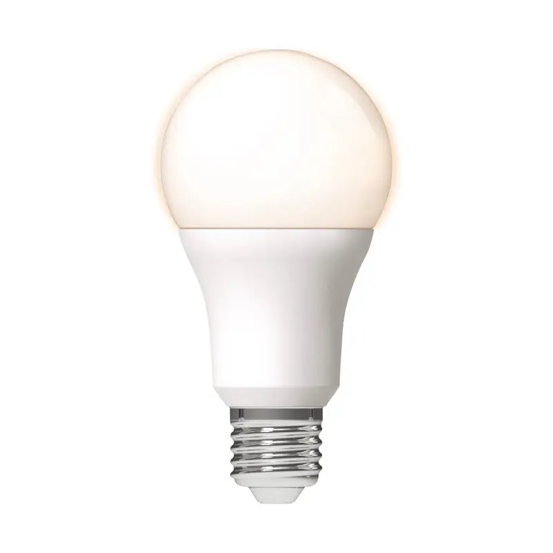 A60 LED-lamp – E27 – 13 W – 1521 lm – 2700 K