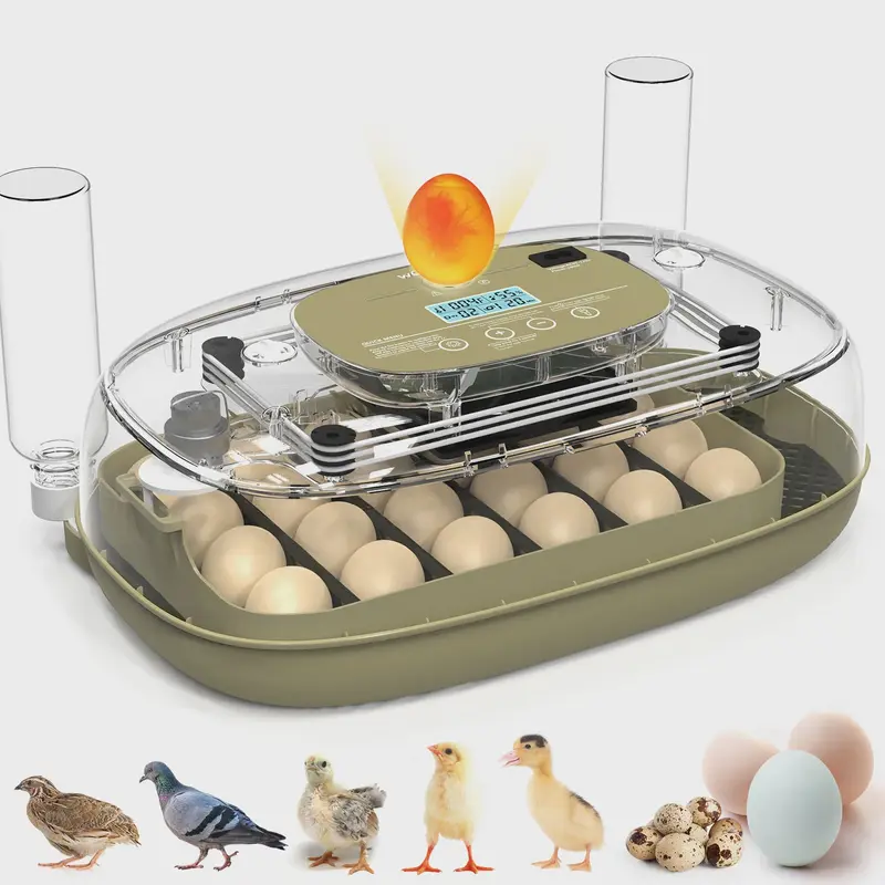 Automatische 24-Eieren Incubator