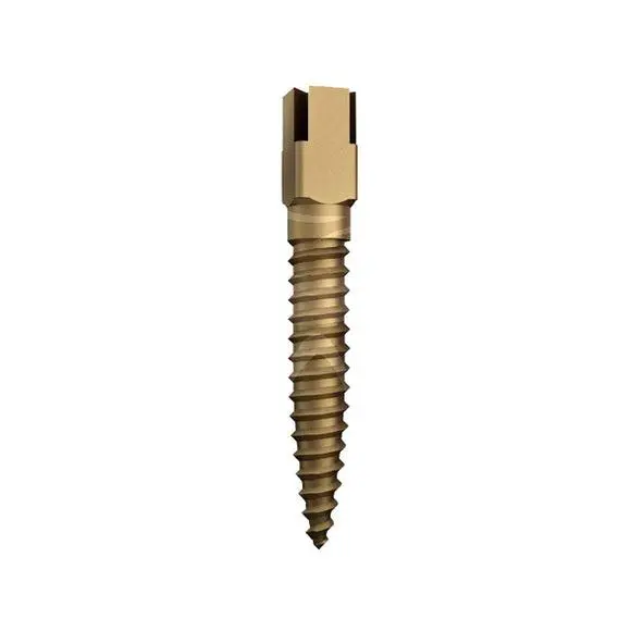 Dentatus Screw Posts Gold - Div. Maten (6 st.)