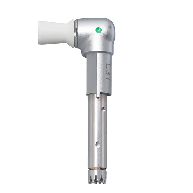 KaVo INTRA™ Prophylactic Kop - L31